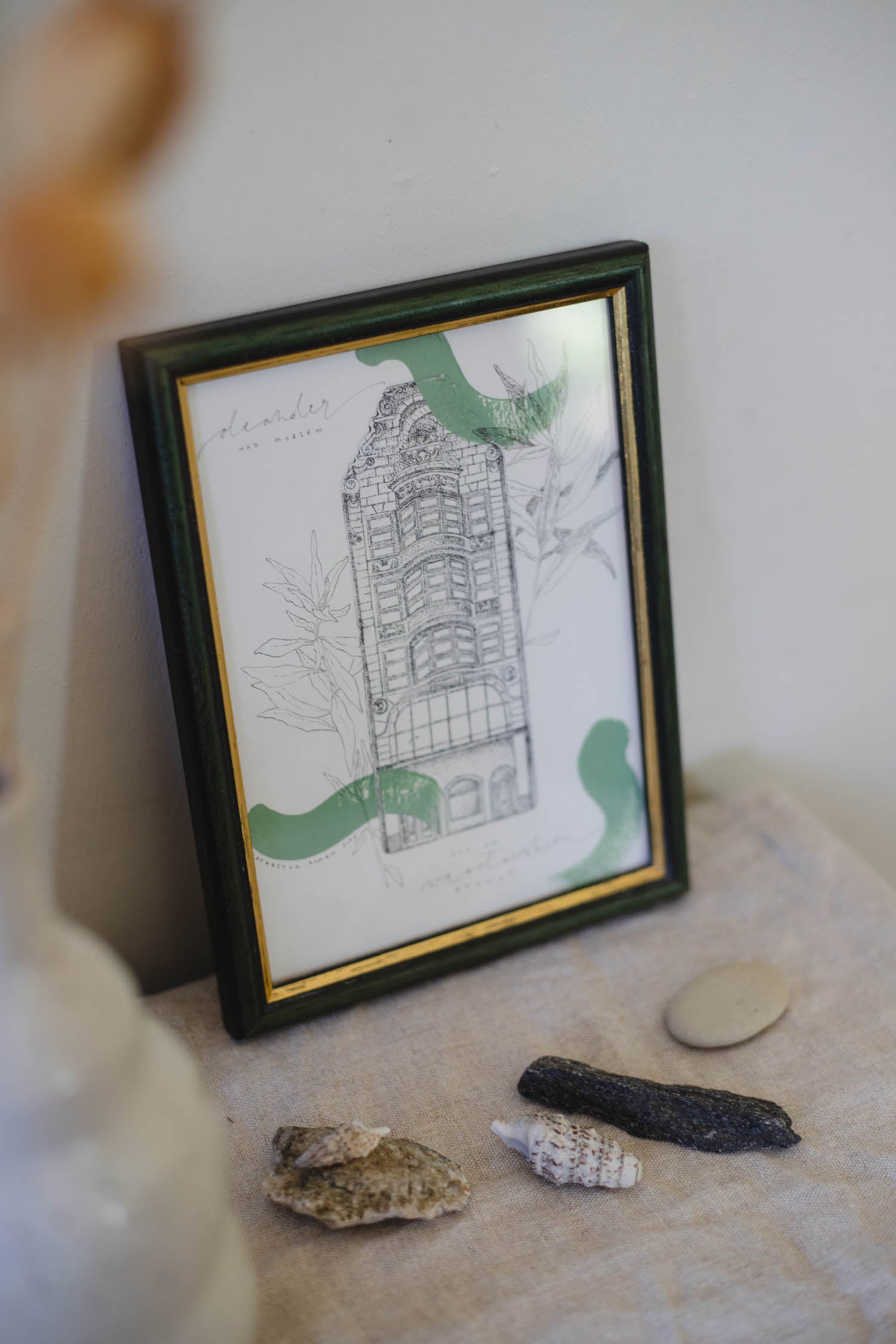 Oleander adriatycki, rynek wrocławski