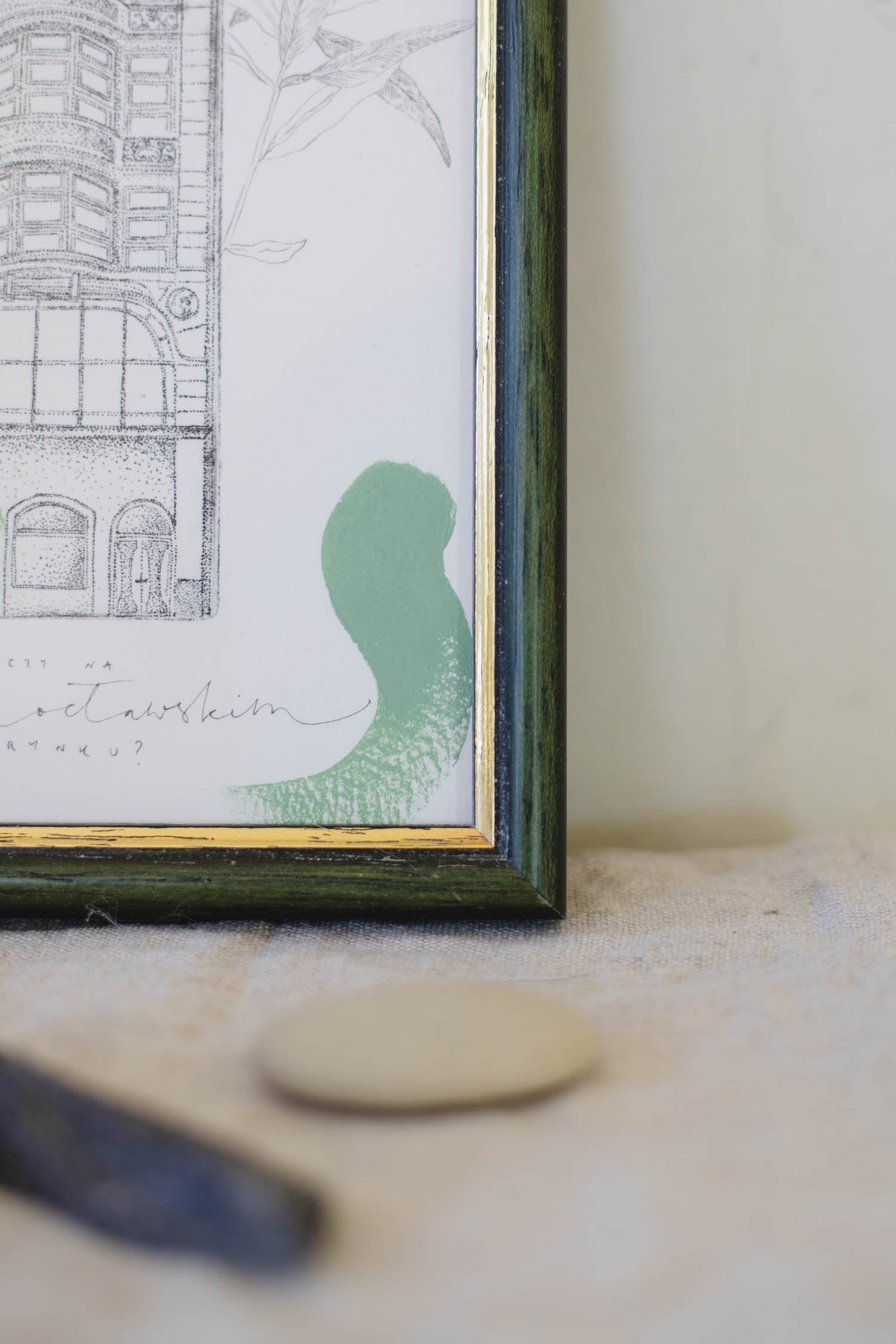 Oleander adriatycki, rynek wrocławski