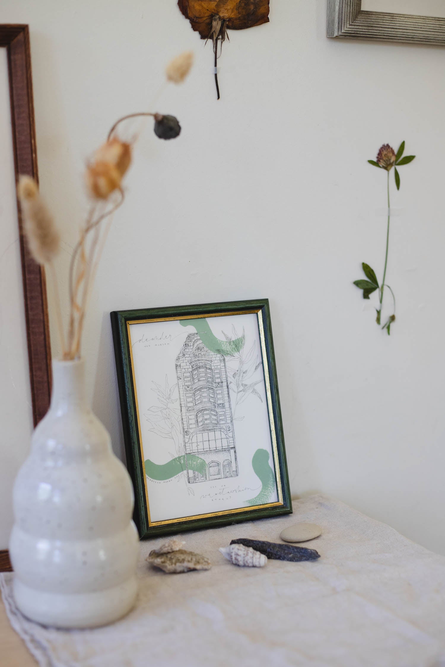 Oleander adriatycki, rynek wrocławski