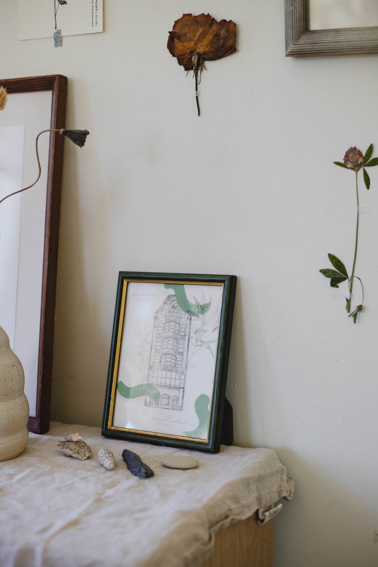 Oleander adriatycki, rynek wrocławski